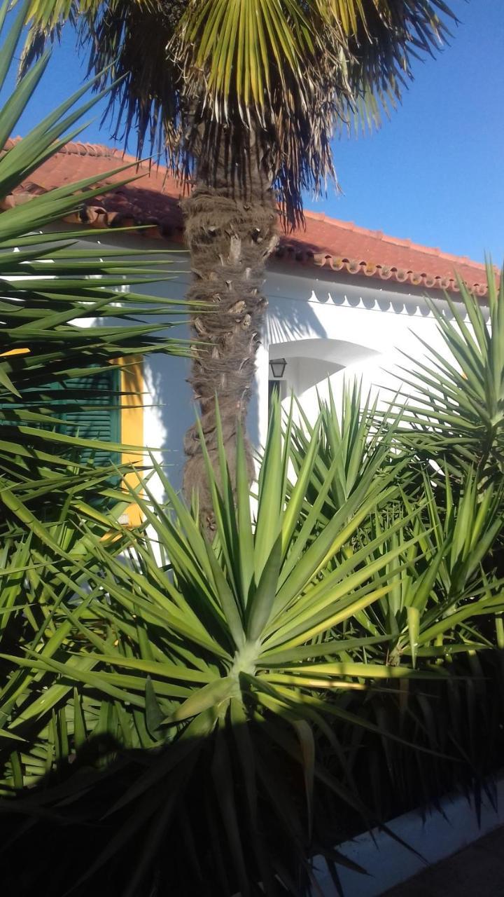 Alamos Hostel Évora Dış mekan fotoğraf